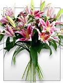 Festiva - A Fun Stargazer Lilies Flower Bouquet
